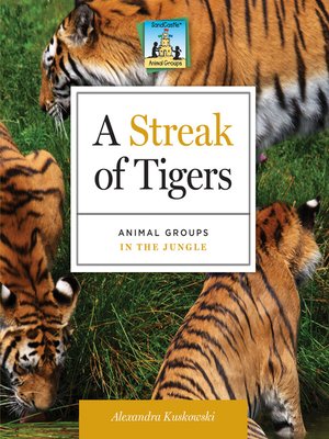 cover image of Streak of Tigers